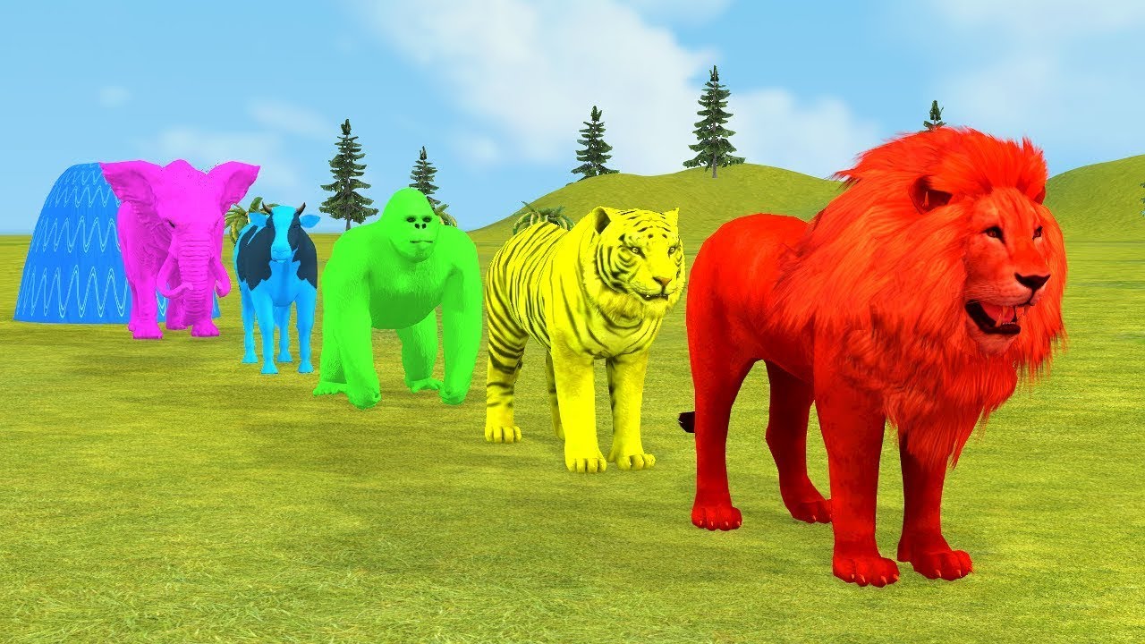 Long Slide Game With Elephant Gorilla Buffalo Hippopotamus Tiger – 3d Animal Game – Funny 3d Animals